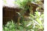 Chunut House Phi Phi Island