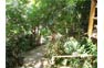 Tropical Garden Bungalows Phi Phi Island