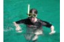 Snorkeling during the Phi Phi speedboat tour