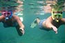 Two snorkelers on Phi Phi Island
