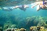 Phi Phi Island Photo showing 3 snorkeling