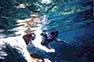 Phi Phi Island Photo showing 3 people snorkeling