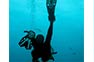 Phi Phi Island diver