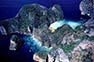 Aerial Photo of Maya Bay Phi Phi Island