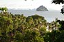 Mosquito island from the Laem Tong Viewpoint Photo Phi Phi Island