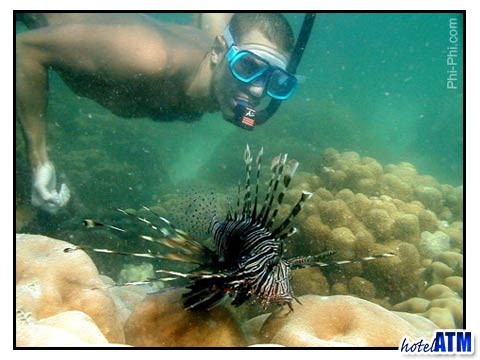 Lion fish and snorkeling guy on Phi Phi Island