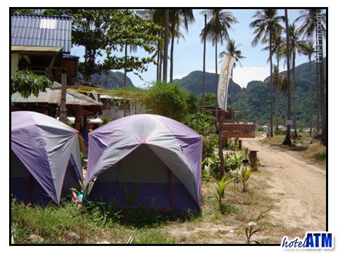 Phi Phi Island camping