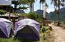 Phi Phi Island camping