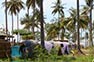 Camping near the beach of Phi Phi Island