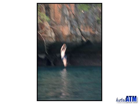 Cliff Jumping Phi Phi