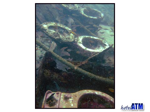 King Cruiser Wreck underwater toilets