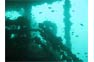 King Cruiser Wreck Diving