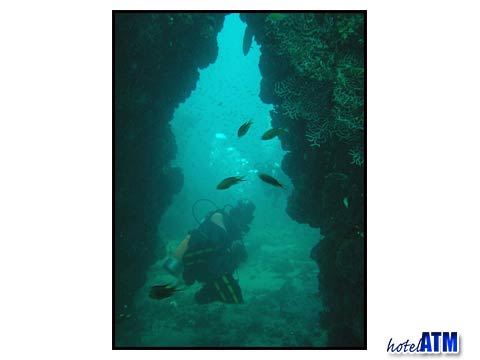 Cool swimthrough at the Bida Islands dive site