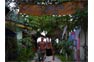 Hippies Bar on Phi Phi Island