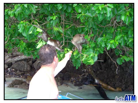 Visitor to Monkey Beach Phi Phi feeding macaque monkey