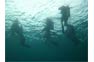 Phi Phi Aquanauts Scuba divers in the open water