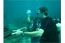Phi Phi Aquanauts Scuba underwater dive training