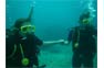 Diving with Phi Phi Aquanauts Scuba