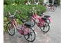 Bicyle parking on Phi Phi Island