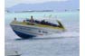 Fast rental speedboat at Koh Phi Phi
