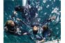 Diving Holidays On Phi Phi Island