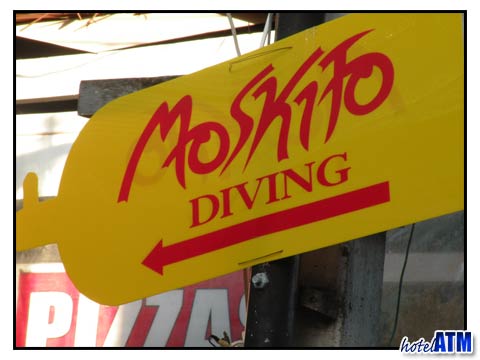 Phi Phi Island PADI IDC with Moskito Diving