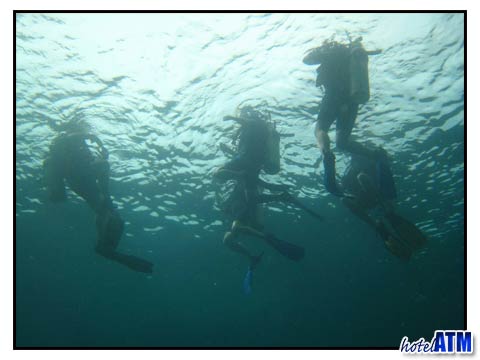 Phi Phi Island PADI IDC course participants in the open water