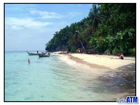 Phi Phi Day Trips From Krabi