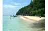 Phi Phi Day Trips From Krabi