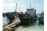 Supply transport shipps mooring at Phi Phi Island