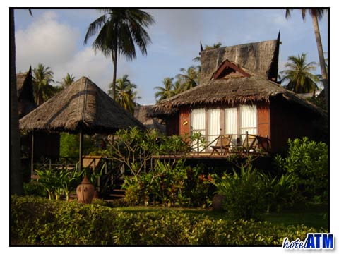 Bungalows and palm trees on Phi Phi Island