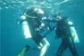 Phi Phi Island Scuba Lessons Open Water Swim