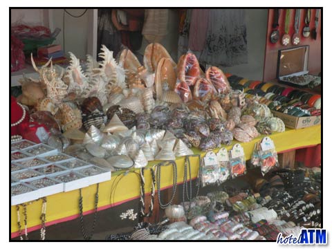 Tropical ocean sea shells sold in Phi Phi Don Village