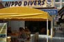 Welcome At Hippo Divers In Phi Phi