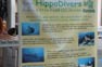 Hippo Divers PADI Courses