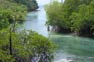 Mangrove channel at Loh Bagao on Phi Phi Island