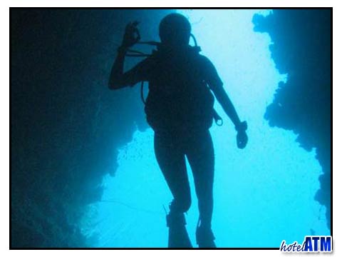 Scuba diving during the Phi Phi busy season