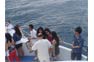 Phi Phi Cruiser Ferry Transfer