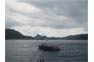 Phi Phi Cruiser Ferry Transfer