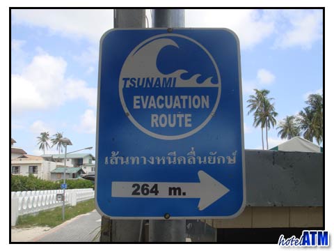 Phi Phi tsunami