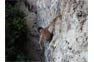 Phi Phi Rock Climbing
