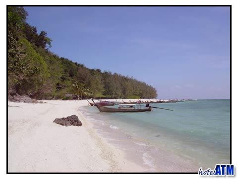 Lonely Bamboo Island beach