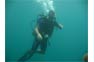 Diver in open water on a Phi Phi Advanced Diving Trip