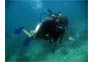 Phi Phi Advanced Diving Trip