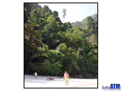 Monkey Beach or Yong Gasem Bay on Phi Phi