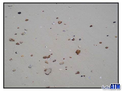 Shells and sand at Phi Phi Phak Nam Beach
