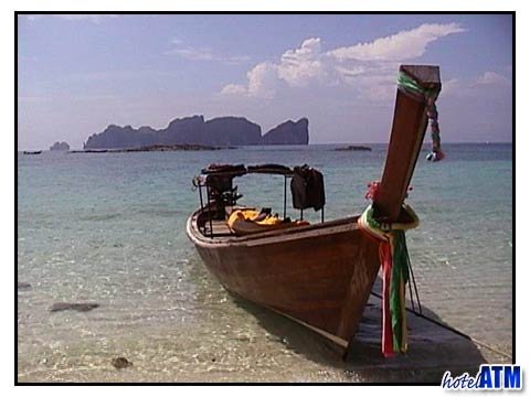 Phi Phi Hin Phae and Sharkwatch Tour