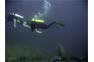 Phi Phi Scuba Diving With Manta Rays