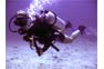 Ecstatic diving with Phi Phi Scuba