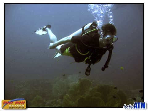Phi Phi Scuba Staff Love To Dive